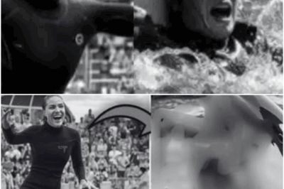 💔 “SECONDS FROM DISASTER” — Jessica Radcliffe Waves to the Crowd… Then the Unthinkable Happens at Pacific Blue Marine Park, Leaving Viewers Shaken Worldwide 😱