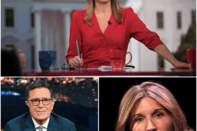 🚨 TV MELTDOWN ALERT: Nicolle Wallace Faces Déjà Vu Disaster — From The View Ouster to MSNBC “Foul Mouth” Scandal, Is History About to Repeat Itself? 😱