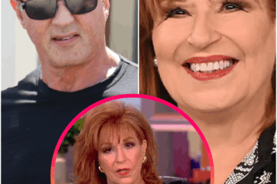 🔥 LIVE TV EARTHQUAKE — STALLONE WALKS OFF THE VIEW AFTER JOY BEHAR’S COMMENT CROSSED THE LINE, LEAVING THE PANEL STUNNED AND SOCIAL MEDIA IN CHAOS…