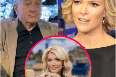 🔥BREAKING: Robert De Niro SHUTS DOWN Megyn Kelly With 8 Chilling Words Live On Air….