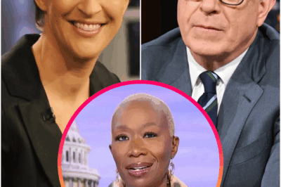 🔥 MEDIA REVOLT: Maddow, Colbert & Reid Just Ditched Corporate News — And Built Their Own Rebel Newsroom!