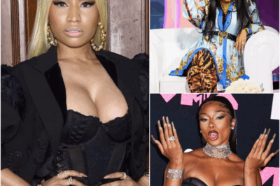 The Beef is Heating Up: Nicki Minaj Responds to Megan Thee Stallion’s Diss Track. The story got more interesting when Cardi B joined in, her words making the fight more intense.