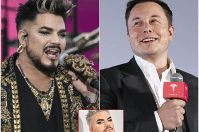 Adam Lambert Shocks the Music World by Refusing Elon Musk’s $500 Million Tesla Deal! What is the reason behind it?