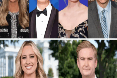 🚨 FOX NEWS SHAKE-UP: After more than a decade, MediaBuzz is gone — and Kayleigh McEnany & Peter Doocy are stepping in.