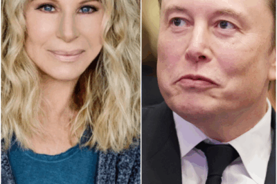 🚨 BREAKING SHOCK: Barbra Streisand just REJECTED Elon Musk’s staggering £300 MILLION Tesla endorsement deal — and her defiant words shook the industry…