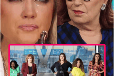 “TELEVISION EARTHQUAKE — ABC JUST CANCELED THE VIEW IN A MOVE THAT STUNNED HOLLYWOOD, IGNITED FAN OUTRAGE, AND LEFT THE FUTURE OF DAYTIME TV HANGING BY A THREAD.”