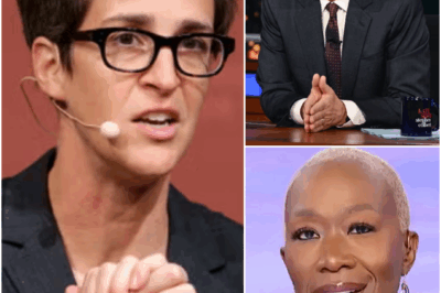 MEDIA SHOCK: Rachel Maddow has broken free from corporate chains — and she’s not alone. Stephen Colbert and Joy Reid are joining her in launching a fearless newsroom built to expose corruption and shatter censorship.