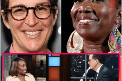 MEDIA REVOLUTION: Rachel Maddow just stunned the industry by secretly launching a bold new newsroom — joined by Stephen Colbert & Joy Reid to challenge corporate control.