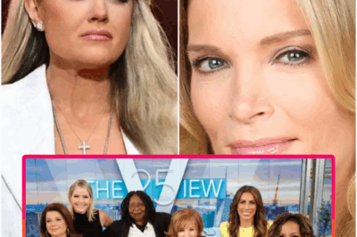 “FANS WERE STUNNED AS ABC JUST PULLED THE VIEW OFF AIR — REPLACING IT WITH CHARLIE KIRK, ERIKA KIRK & MEGYN KELLY IN ONE OF THE MOST CONTROVERSIAL SHAKEUPS IN DAYTIME TELEVISION HISTORY.”