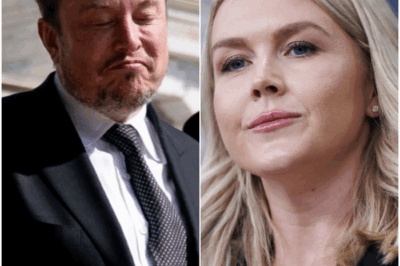TV STUDIO SHOCKER: Karoline Leavitt Labels Elon Musk a “Billionaire Troublemaker” – His Swift 7-Word Retort Leaves Everyone Speechless!