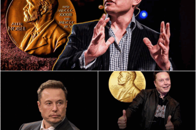 Elon Musk and his fans are calling for him to win the Nobel Peace Prize. But on the other hand, things are much more tense.