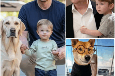 A sweet encounter between Elon Musk’s son, Lil X, and a special guest has gone viral. The adorable video shows the little boy’s charming smile and joyful interaction, melting the internet’s heart. Watch till the end for an unforgettable moment!