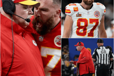 NFL in Shock: Travis Kelce Finally Speaks Out Following His Heated Confrontation With Chiefs Head Coach Andy Reid, Splitting the Fanbase Between Supporters of His Passionate Honesty and Critics Warning of a Dangerous Rift That Could Derail the Season