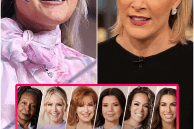 TRAGIC END — HISTORIC START: ABC CANCELS THE VIEW AND ANNOUNCES THE CHARLIE KIRK SHOW WITH ERIKA KIRK & MEGYN KELLY AS ITS GROUNDBREAKING SUCCESSOR 😱🔥